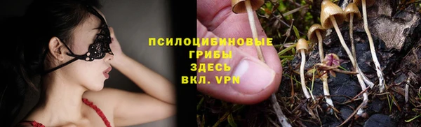 первитин Осинники