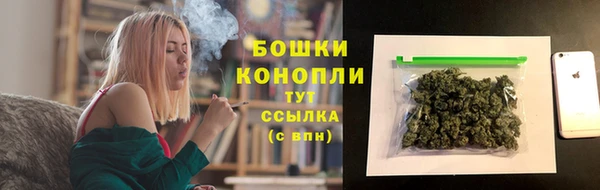 первитин Осинники